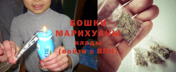 дмт Лиски