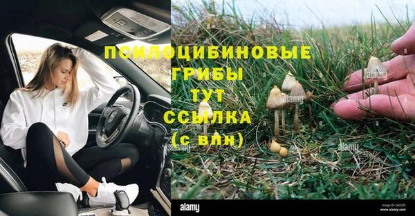 дмт Лиски